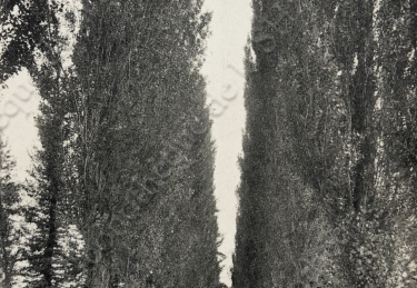 Gravelle
