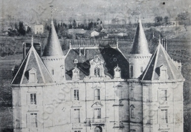 Château de la Roche Beaulieu