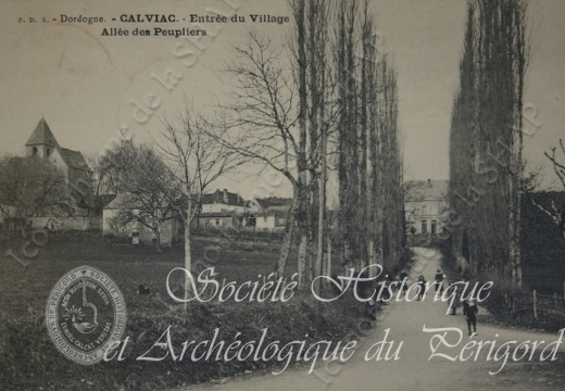 calviac001