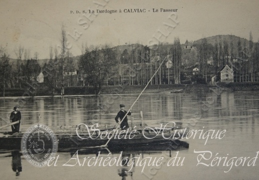 calviac003