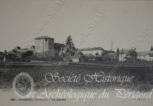 cendrieux002