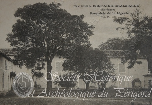 champagne-fontaine015
