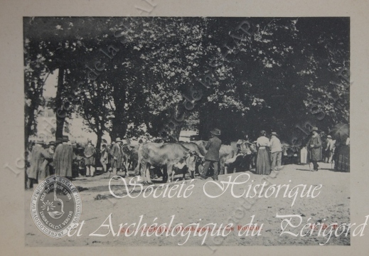 cubjac009