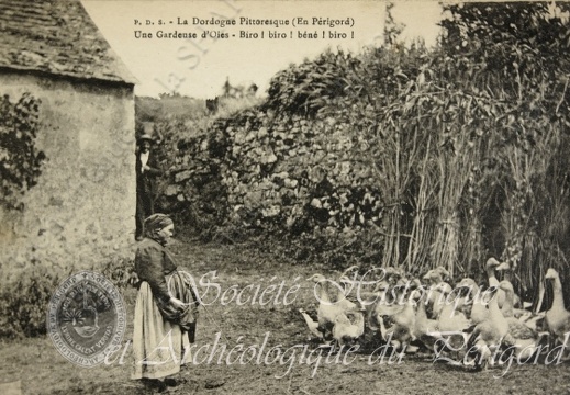Gardeuse d'oies