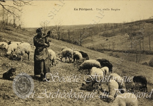 Bergère