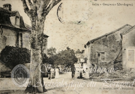grignols 009