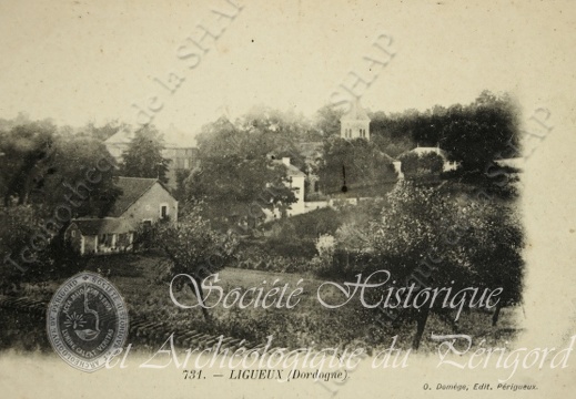 ligueux002