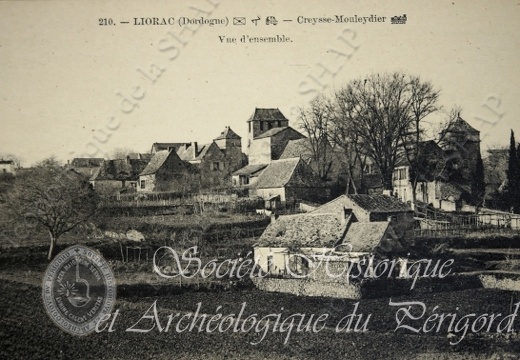 liorac002