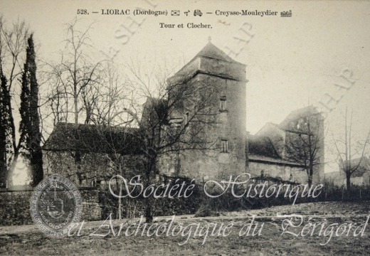 liorac003