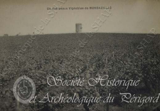 monbazillac008