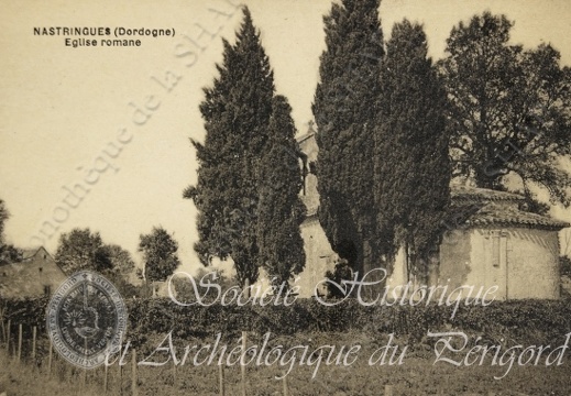 nastringues 001