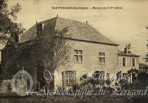 nastringues 002