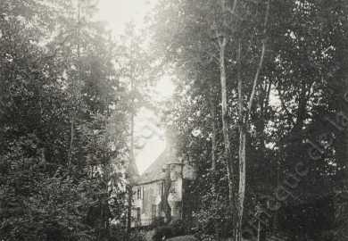 pazayac 003