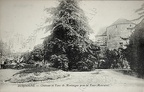 st michel de montaigne010