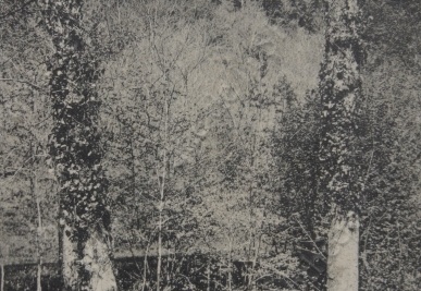 st-jory-de-chalais004