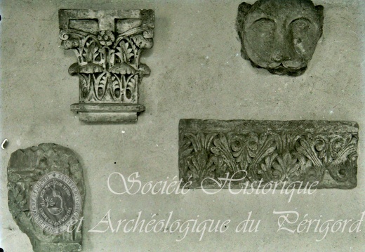 Musée de Périgueux (MAAP)