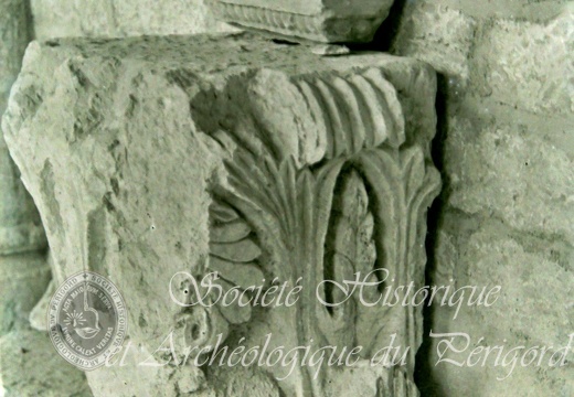 Musée de Périgueux (MAAP)