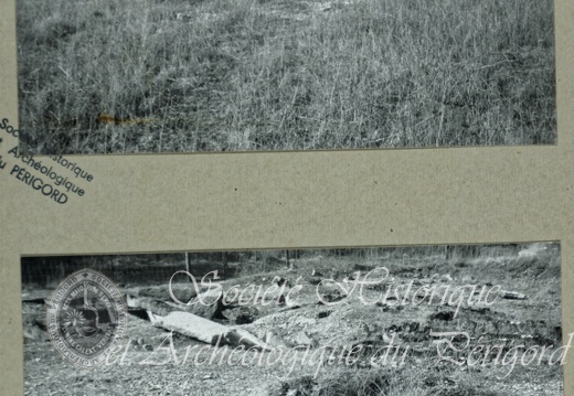 Antonne-et-Trigonant