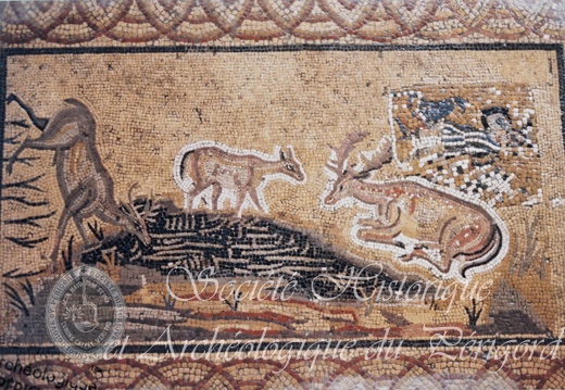 PP beauregard-de-terrasson 03