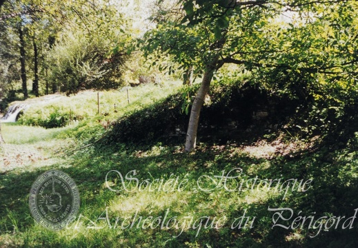 PP condat-sur-vezere 01