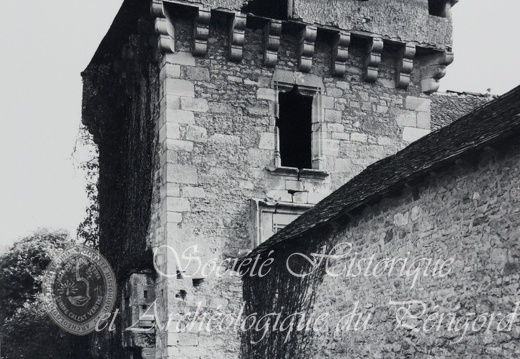 PP condat-sur-vezere 08