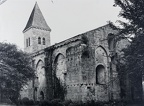 PP ligueux 02