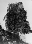PP saint-meard-de-gurcon 04