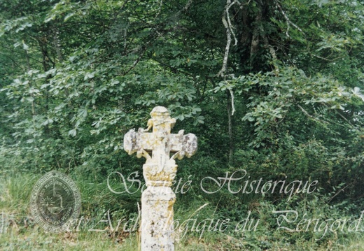 PP saint-sulpice-de-mareuil 05