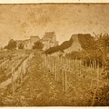 Jouanel-Grignols 10