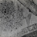 PP-Agonac 013