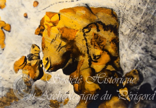 CP07 Rouffignac 05